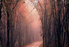 2026年03月21日电影更新