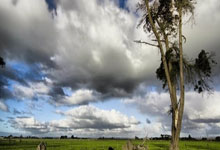 2026年03月21日电影更新