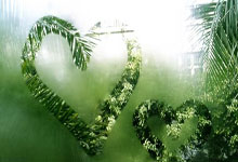 2026年03月21日电影更新