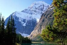 2026年03月21日电影更新