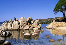 2026年03月21日电影更新